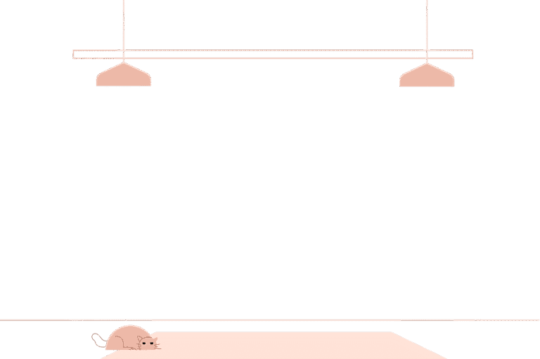 Yoga studio background mouse on mat