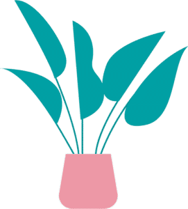 Decorative plant in red pot