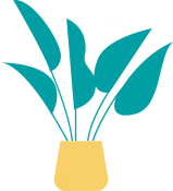 Decorative plant in yellow pot